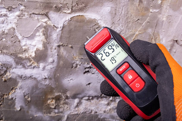 Reliable West Terre Haute, IN Mold Removal Solutions