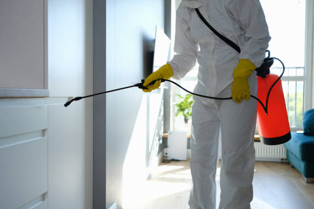 Best Toxic Mold Removal  in West Terre Haute, IN