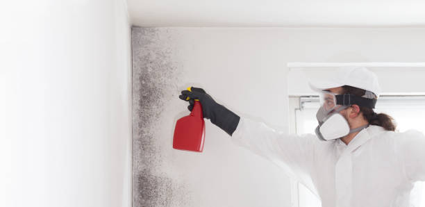 Water Damage Restoration in West Terre Haute, IN